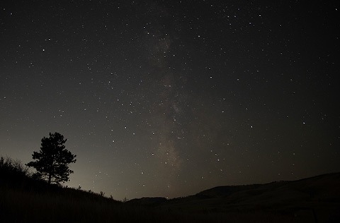 Night sky with stars and tree in background.