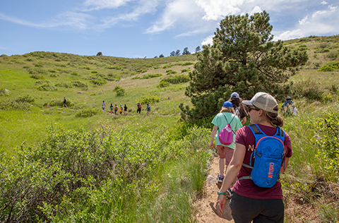 hikers on dirt trail on sunny day