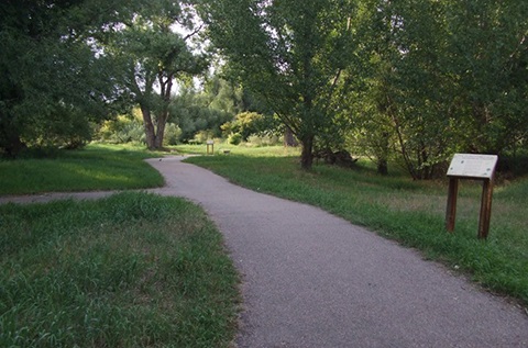 Path through Gustav Swanson Natural Area