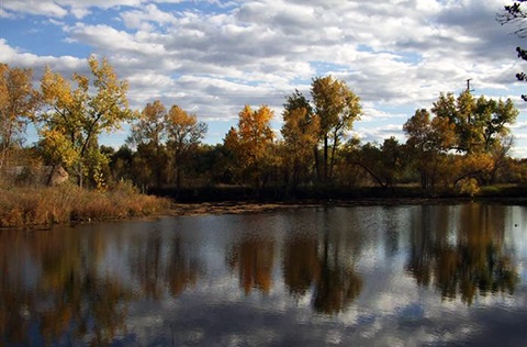 Peaceful lake reflecting colorful fall trees under a bright blue sky.