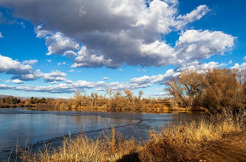 Pond with a thin sheet of ice along its border, reflecting a cool winter sky.