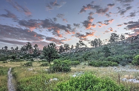 Sunrise rising above the pine covered ridge at Reservoir Ridge Natural Area.