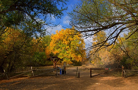 Kiosk and path leading into McMurry Natural Area.