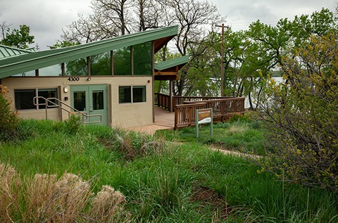 Entrance of Primrose studio surrounded in lush greenery.