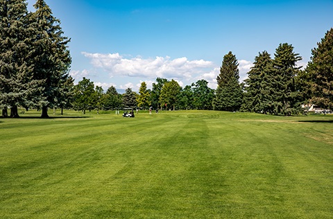 golf course fairway with large trees