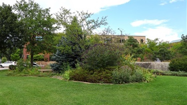 A pollinator garden in a park