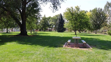Picnic tables scattered across a park