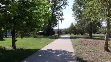 A sidewalk cutting through a park surrounded by trees