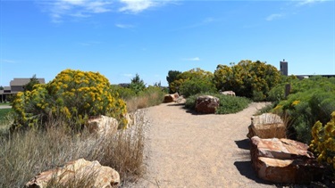 A dirt path going through a pollinator garden