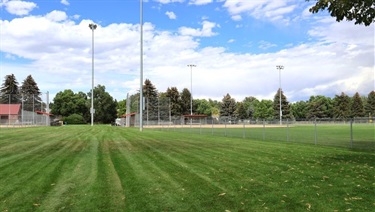 A large green space in front of ball fields