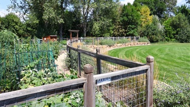 A community garden at the edge of a park