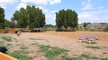 A wide open dog park with picnic tables and trees