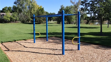 A monkey bars structure in a park