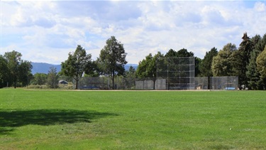 A ball field in front of a line of trees at a park