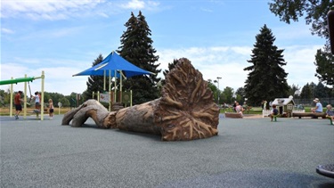 A large tree structure in the middle of a playground