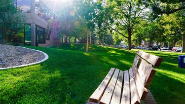 A park bench on a sunny day
