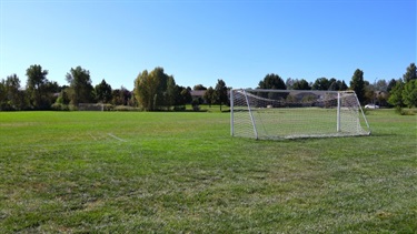 Soccer nets in a green field