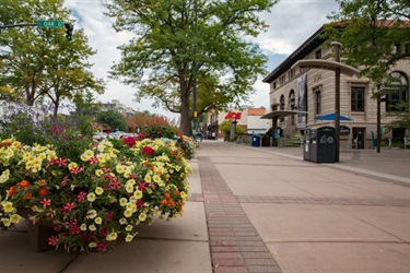 A sidewalk going past colorful flowers in pots