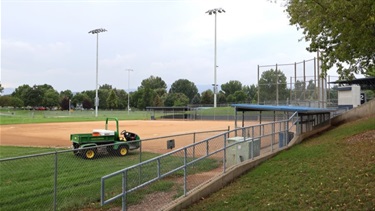 A ball field built into a hillside with trees in the background