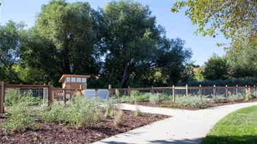 A community garden alongside a paved walking path