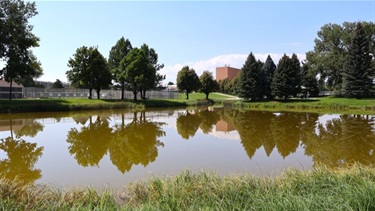 A pond in a park next to a school