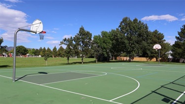 A paved basketball court surrounded by trees in a park