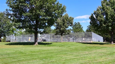 Fenced-in tennis courts at a park