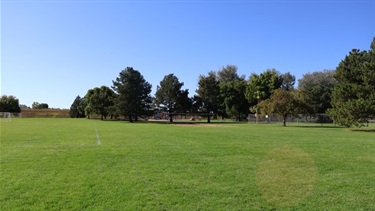 A large grassy field at a park with a grove of trees and a playground