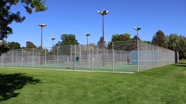 Fenced-in tennis courts with lights in a park
