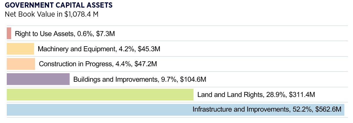 Bar chart of Government Capital Assets