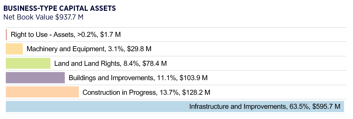 Bar chart of business-type capital assets