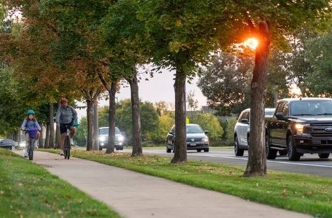 Cars driving on a tree lined road while bikes ride on the sidewalk next to the road.