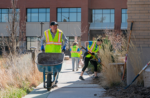 volunteers gardening