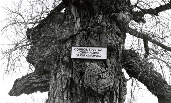 The Council Tree near present-day Arapahoe Bend Natural Area.
