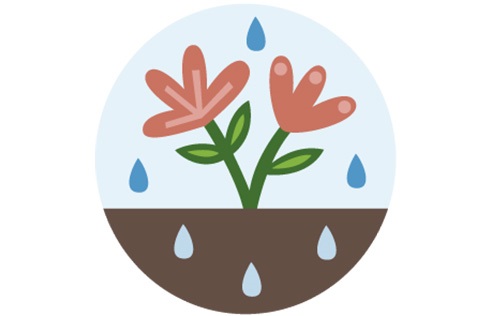 An illustration of rain hitting a red lower and infiltrating the soil