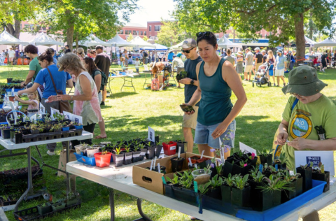 Attendees browse a large selection of native plants.