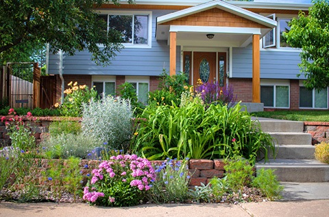 A home with a variety of xeric plants and flowers with pink, green and yellow