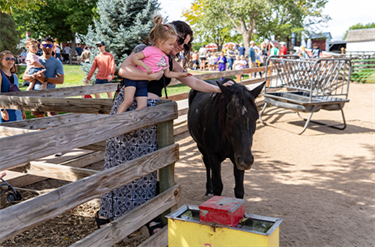 People reach over fence to pet horse