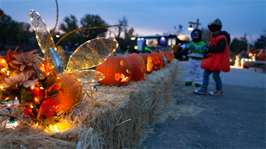 lit pumpkins with decoration at dusk and kids nearby