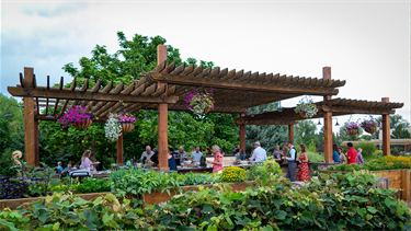 cooking class in garden under wooden pergolas