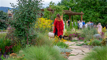 person walks on stone path among lush garden