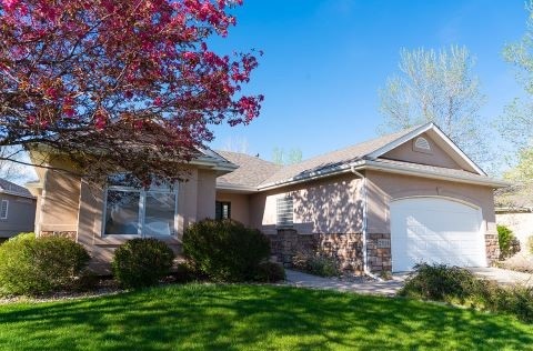 House with a yard and large tree. 